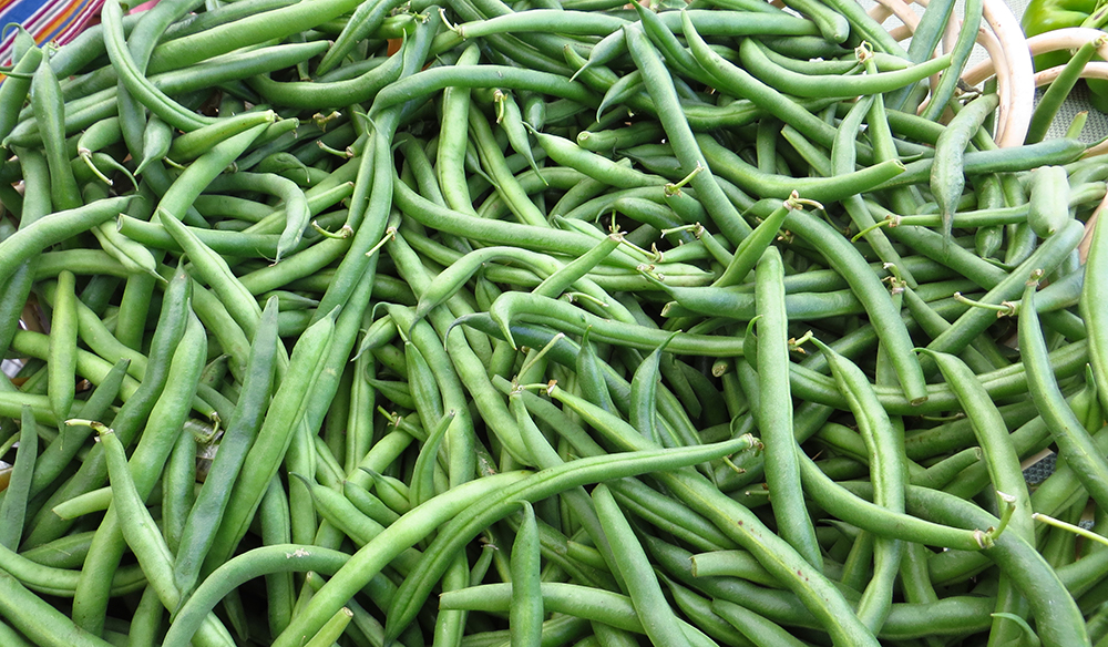 DaringHue_GreenBeans